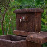 فيلة Rijeka Zeta, *