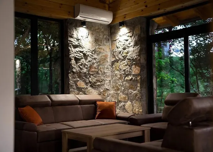 Vila Rijeka Zeta, Podgorica